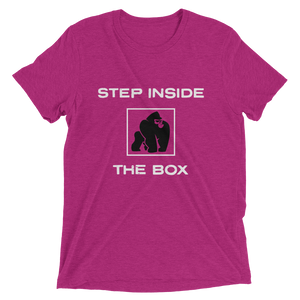 STEP INSIDE THE BOX - BERRY
